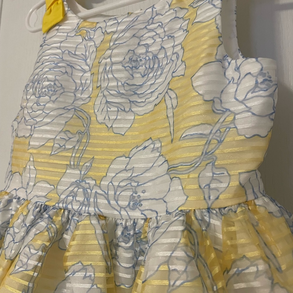Janie and Jack - Girls Toddler size 5 Dress - Picture 8 of 8